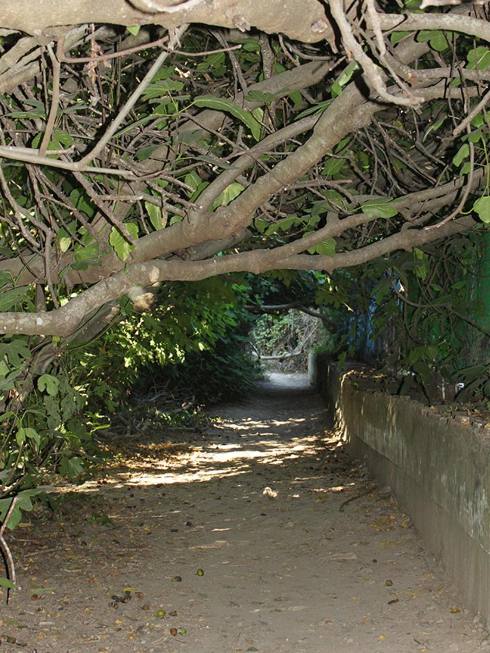 Apartamento Casa Gil El Bosque