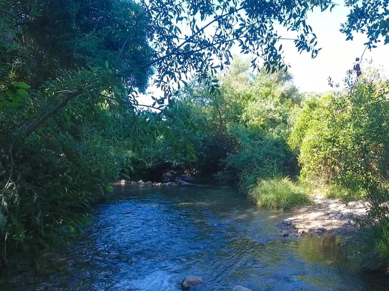 Casa Gil * El Bosque